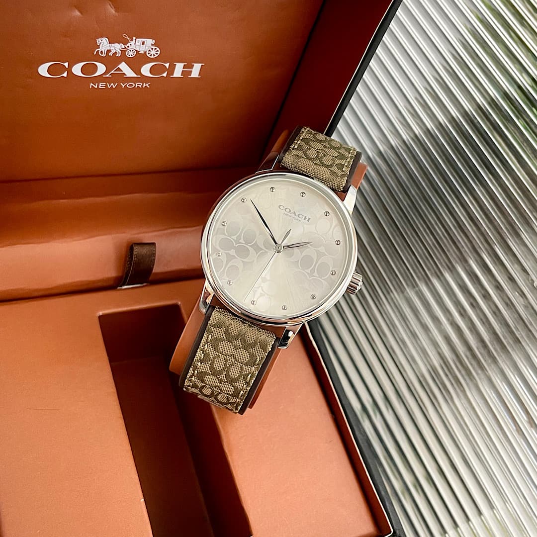 Luxury Watch Bag 14503405