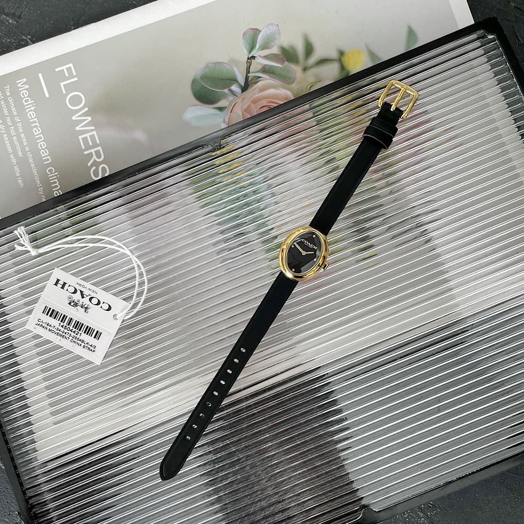 Coach Watch 14504421