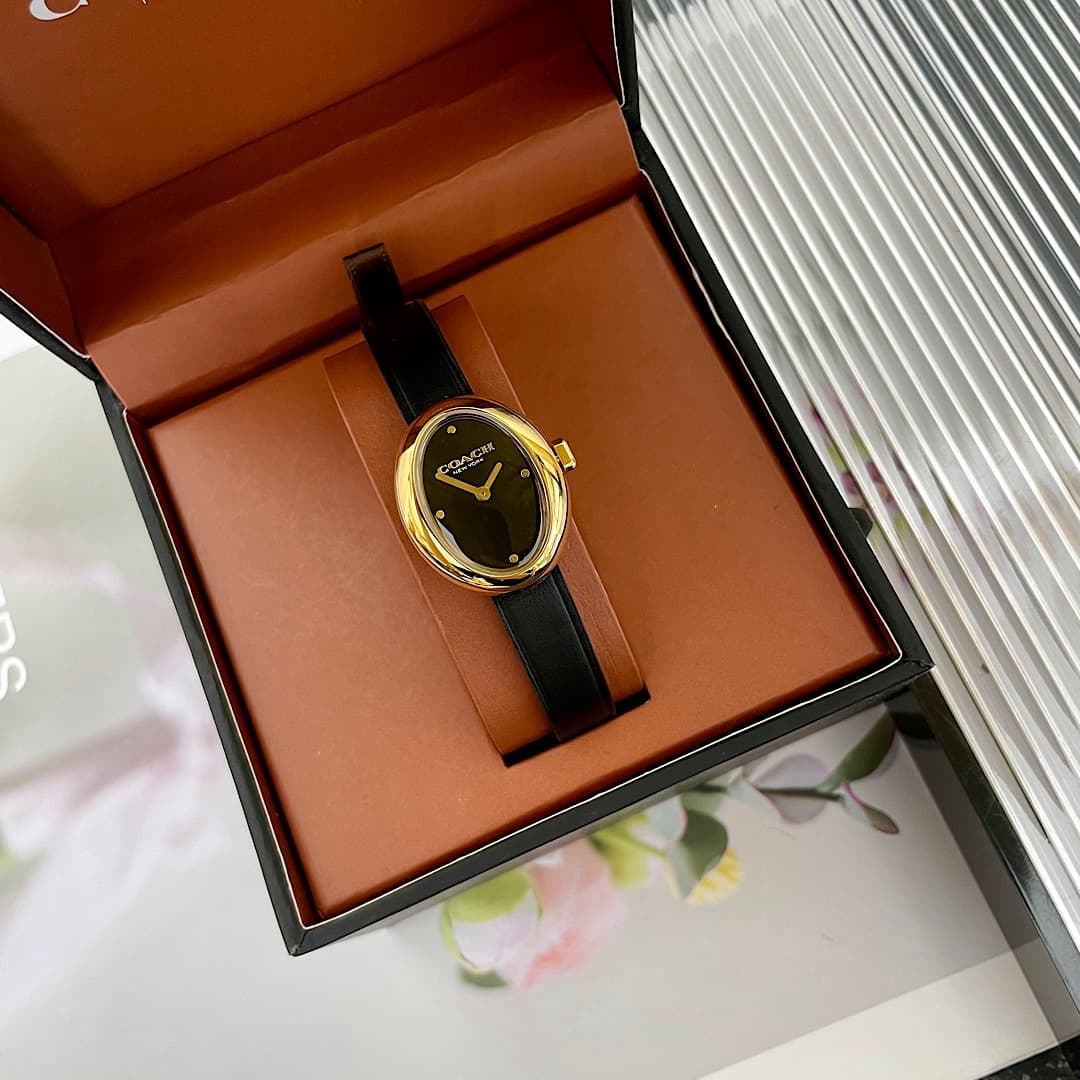 Luxury Watch Belt 14504421