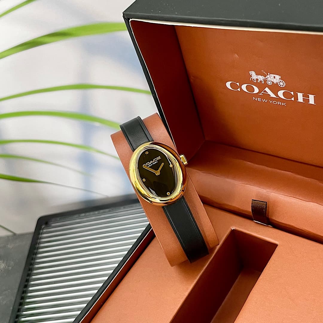Luxury Watch Belt 14504421
