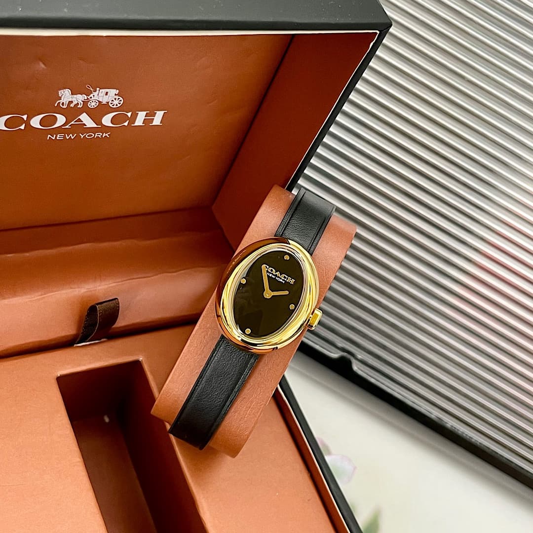 Luxury Watch Belt 14504421