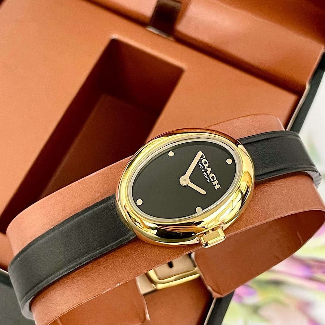 Luxury Watch Belt 14504421