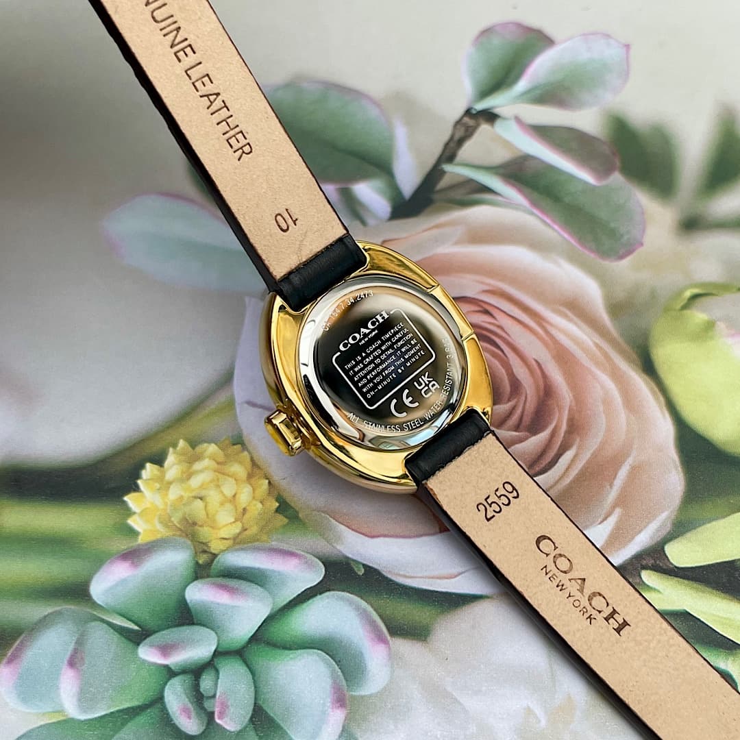 Luxury Watch Belt 14504421
