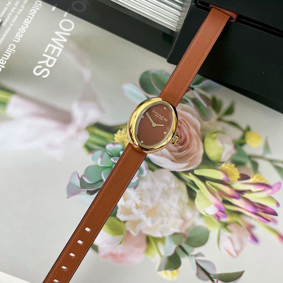 Luxury Watch Belt 14504426