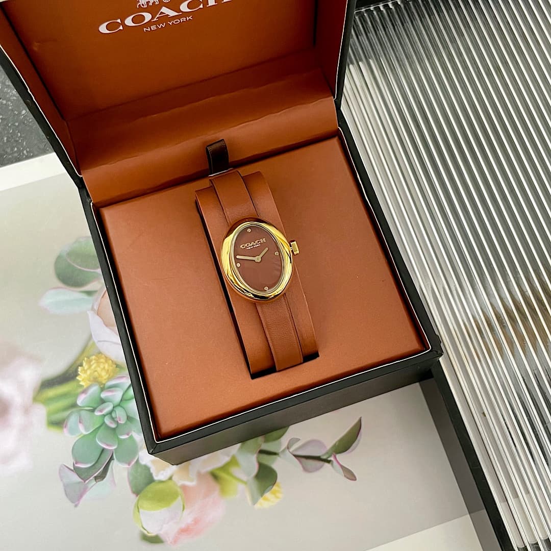 Luxury Watch Belt 14504426