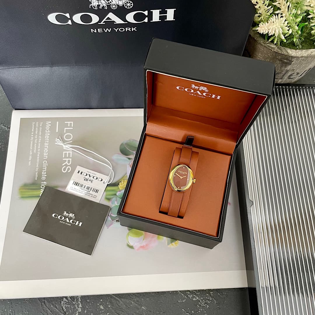 Luxury Watch Belt 14504426