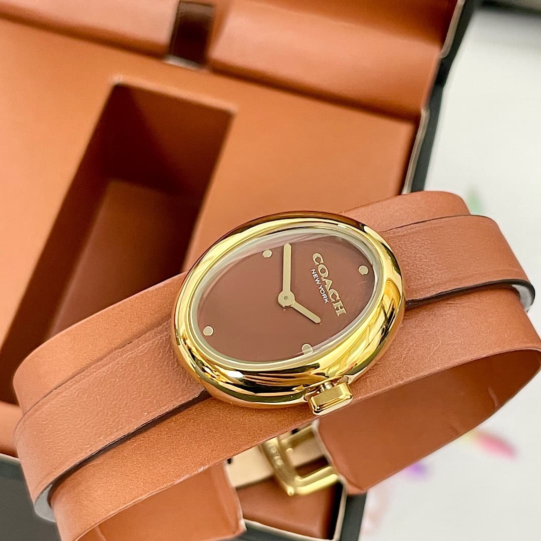 Luxury Watch Belt 14504426