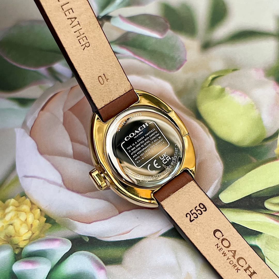 Luxury Watch Belt 14504426