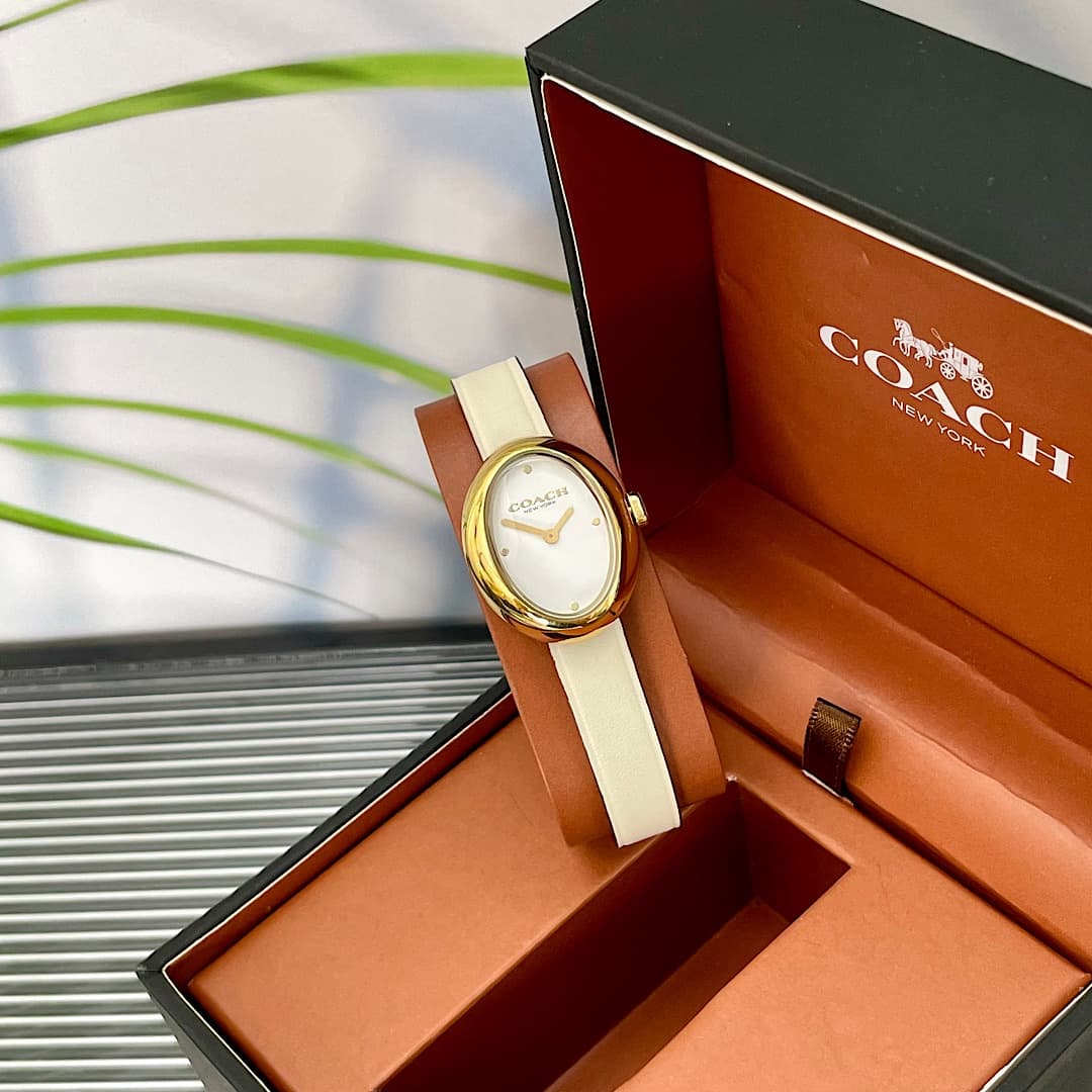 Luxury Watch Belt 14504422