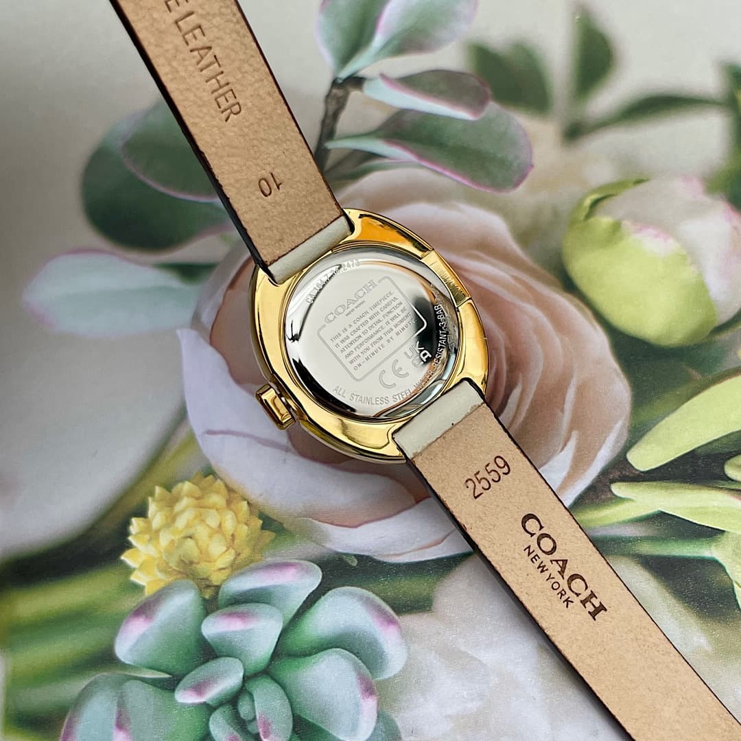 Luxury Watch Belt 14504422
