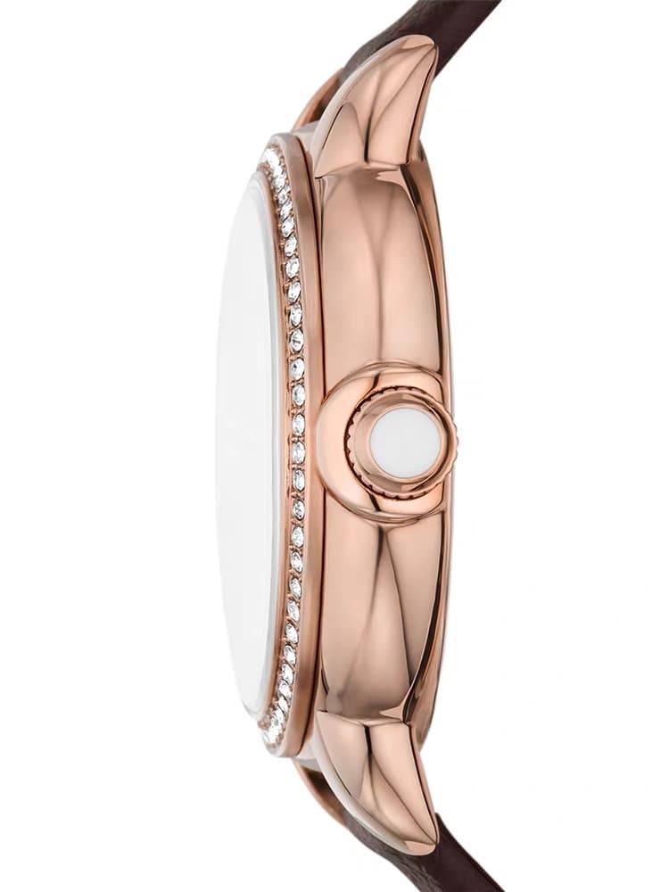Luxury Watch White Watch ar11567