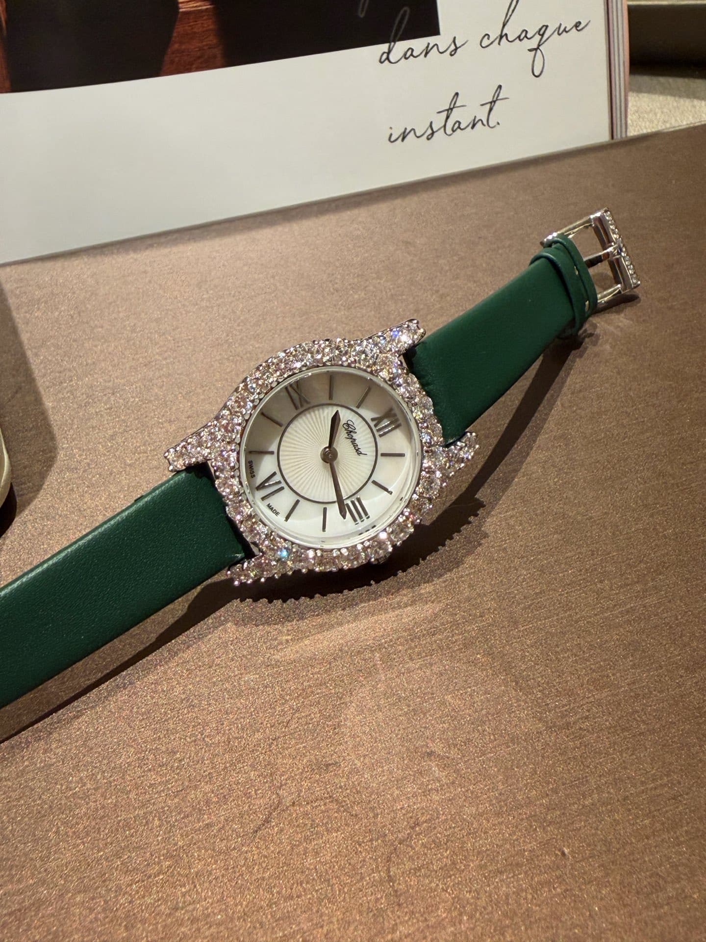 Luxury Watch Belt