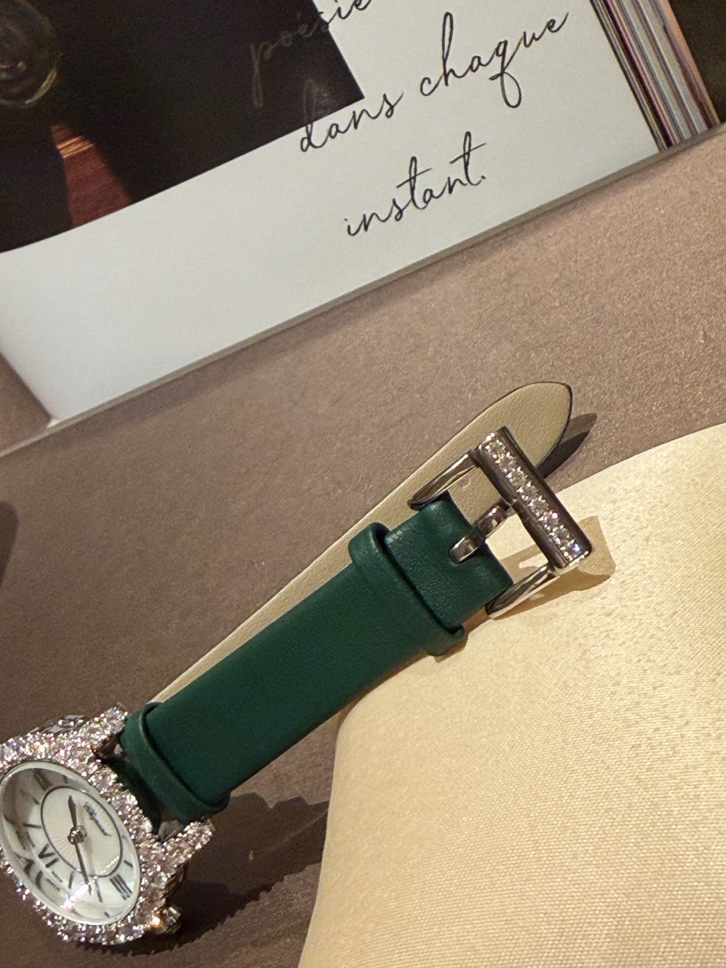 Luxury Watch Belt