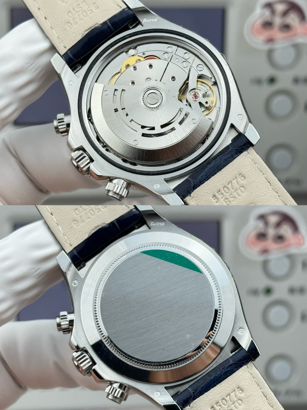 Rolex Blue Watch