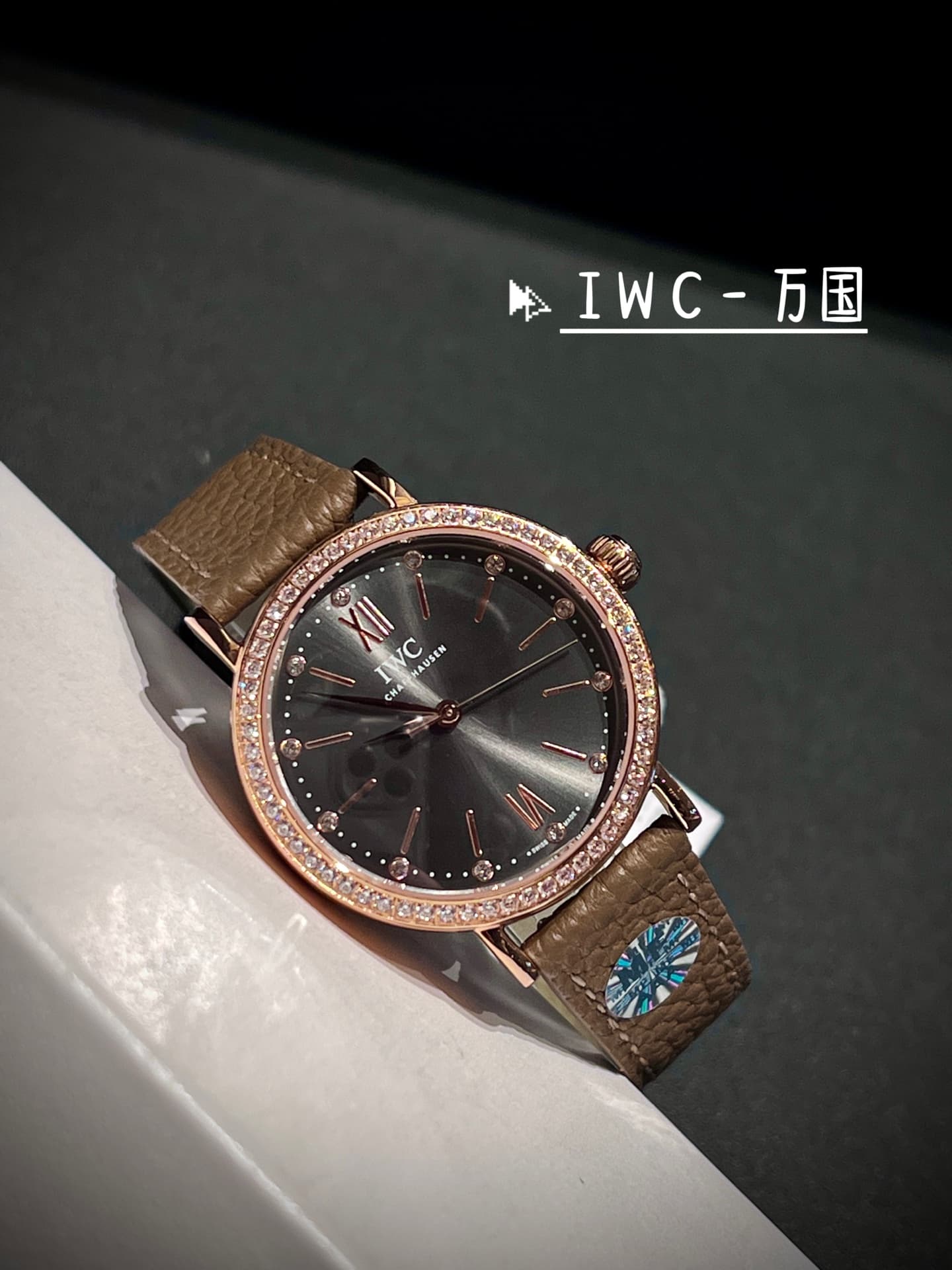 IWC White Watch