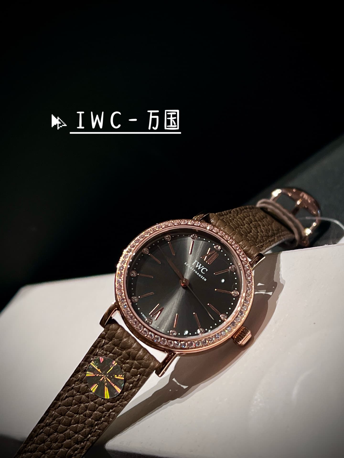 IWC White Watch