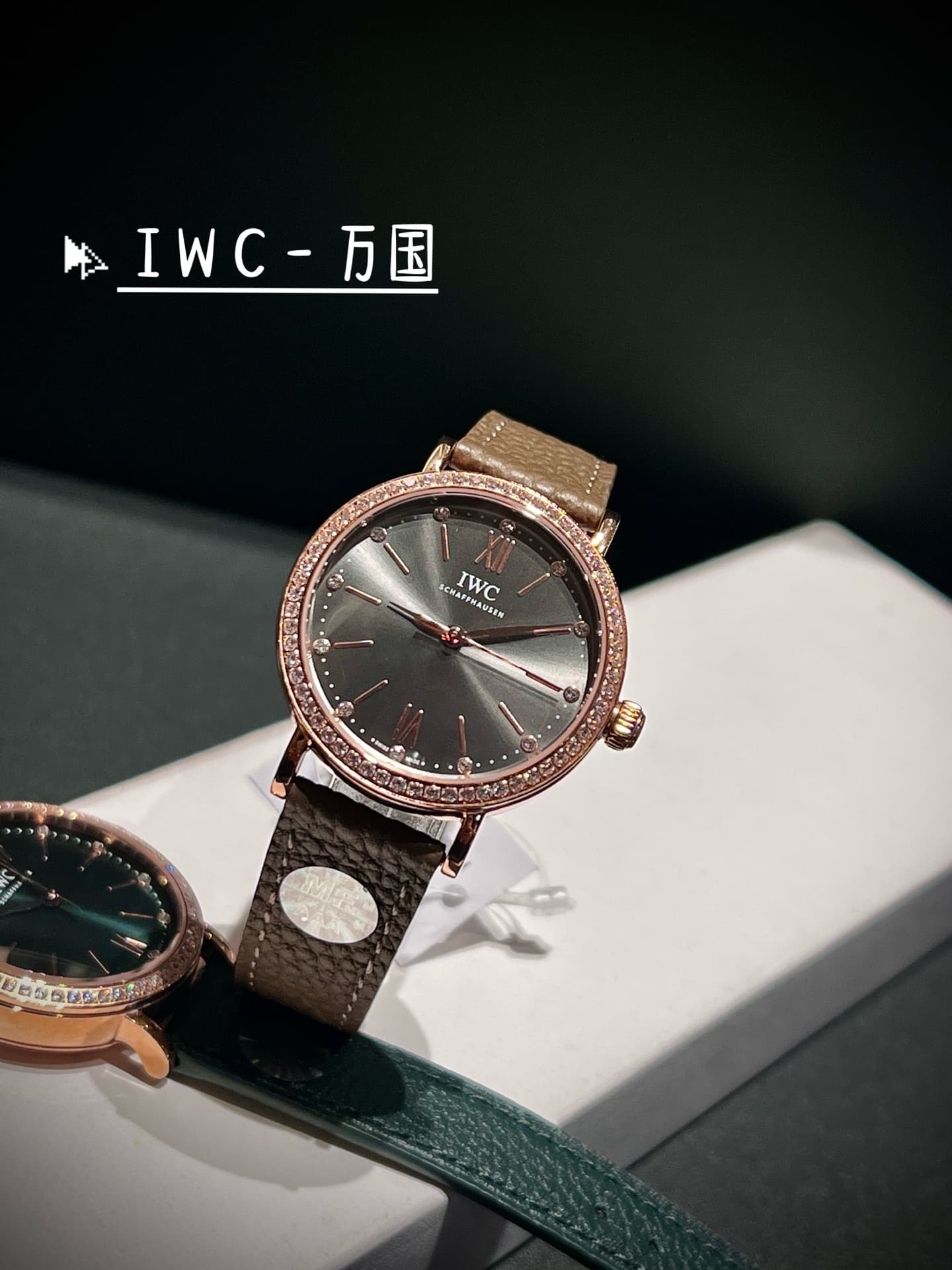 IWC White Watch