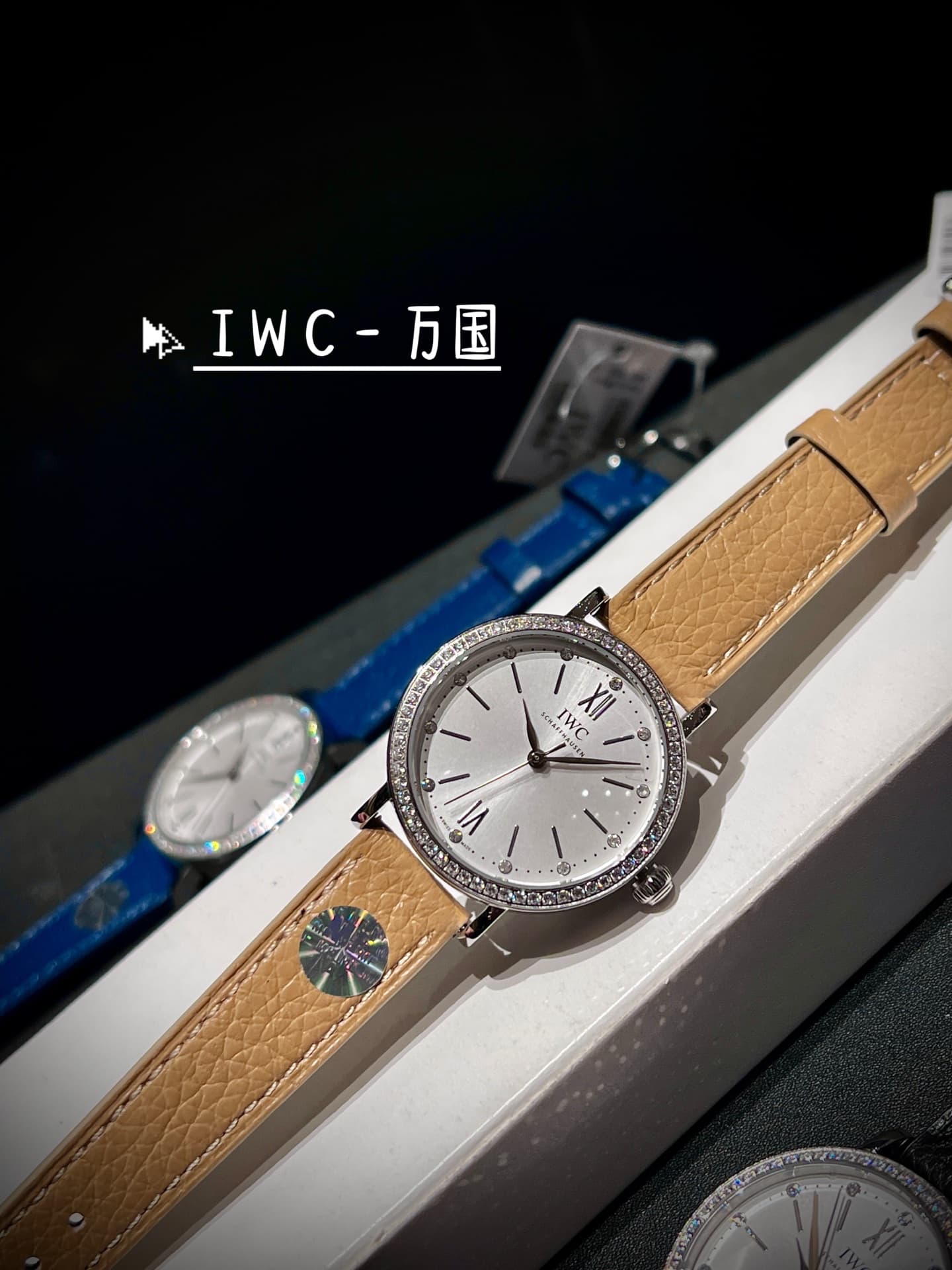 IWC White Watch
