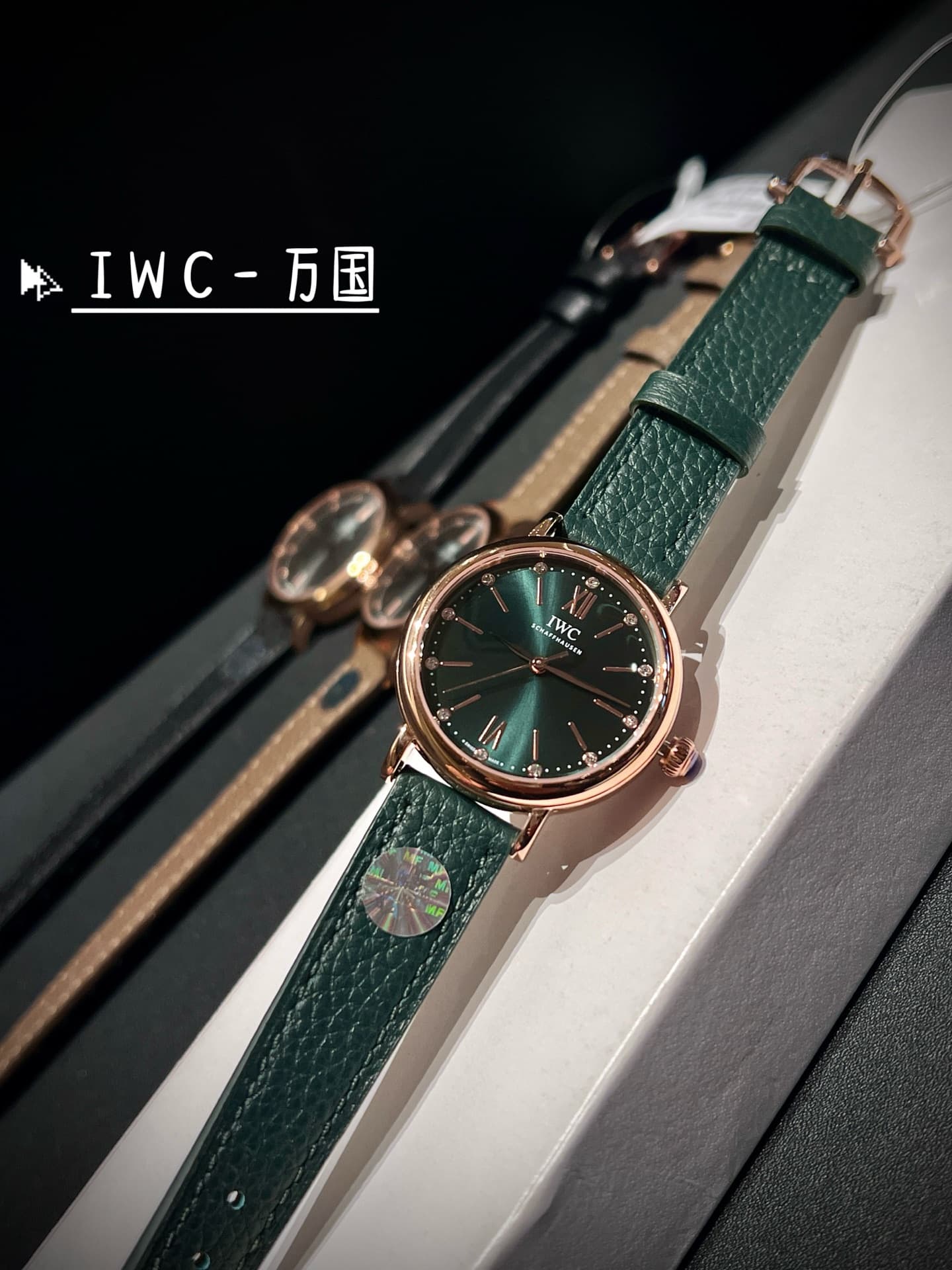 IWC White Watch