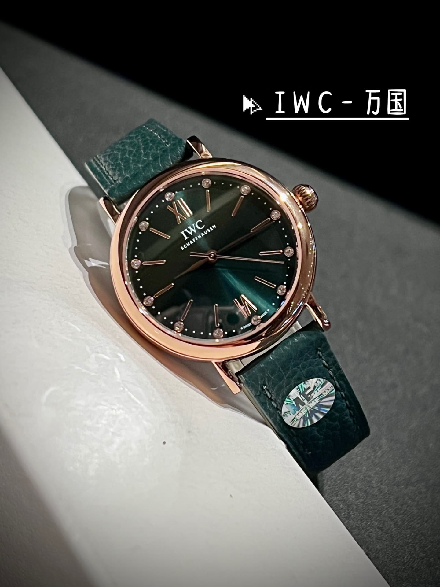 IWC White Watch