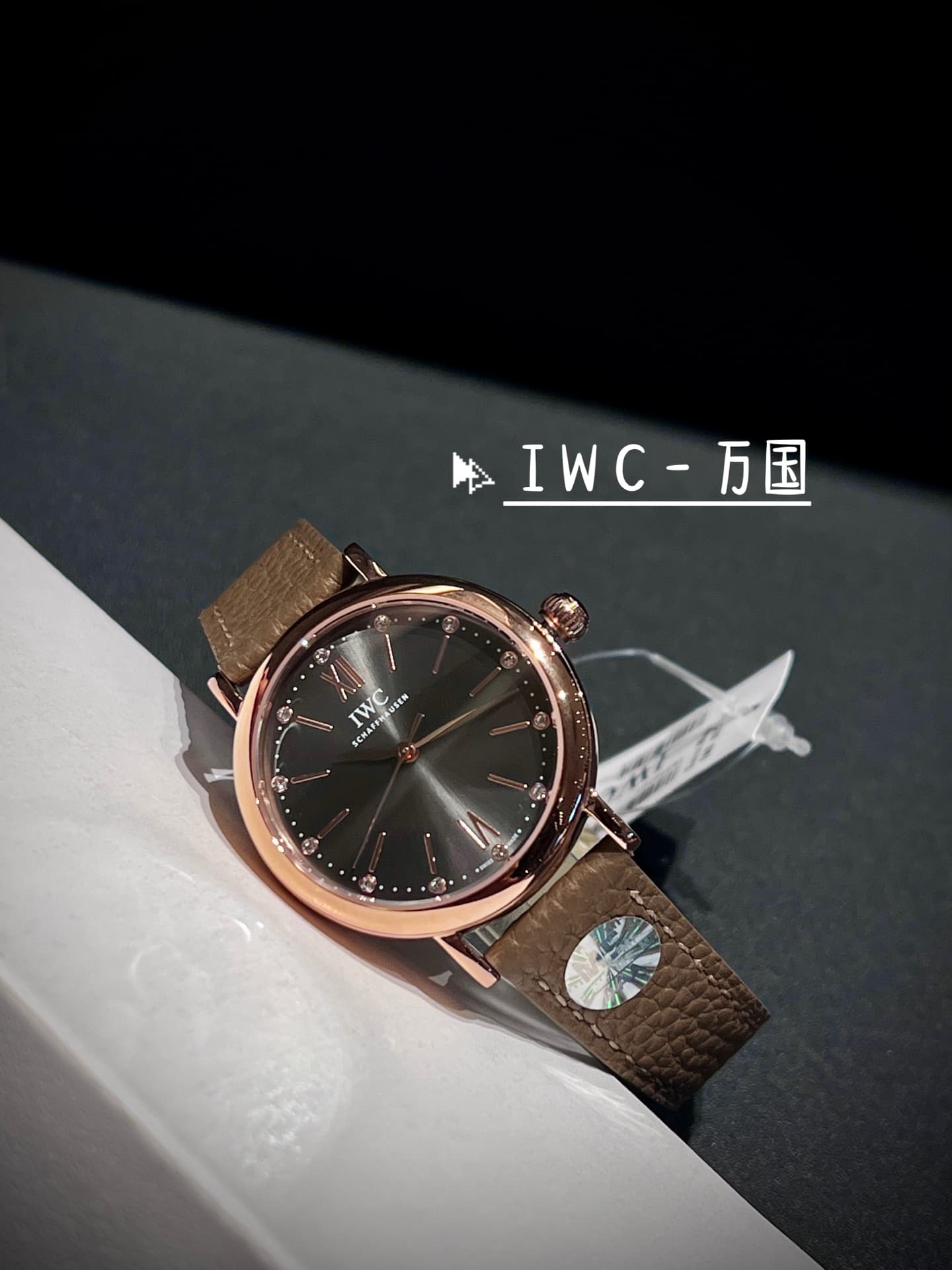 IWC White Watch