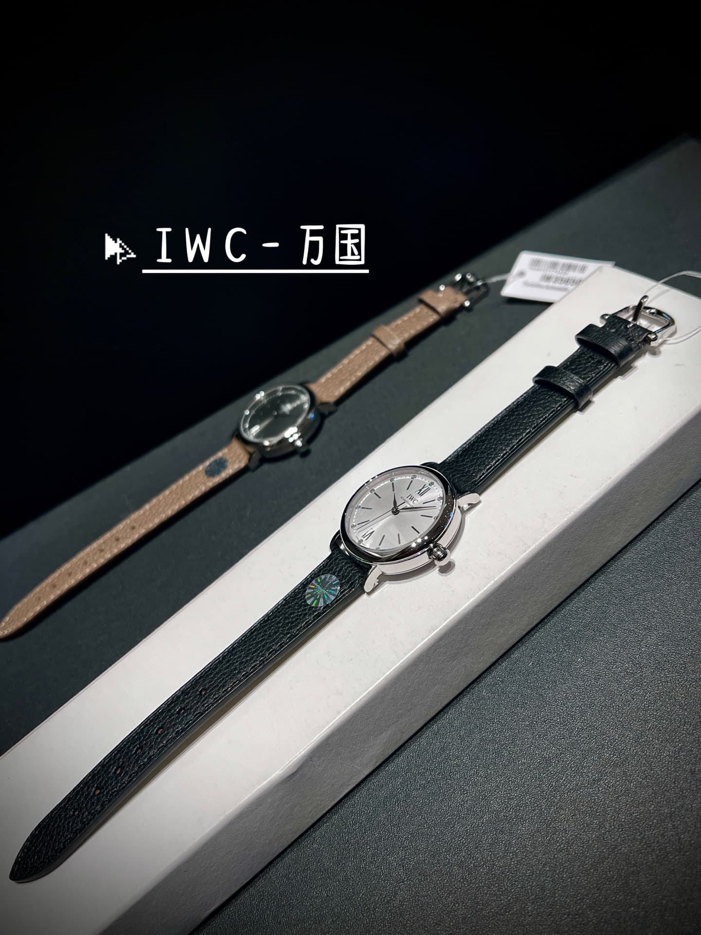 IWC White Watch