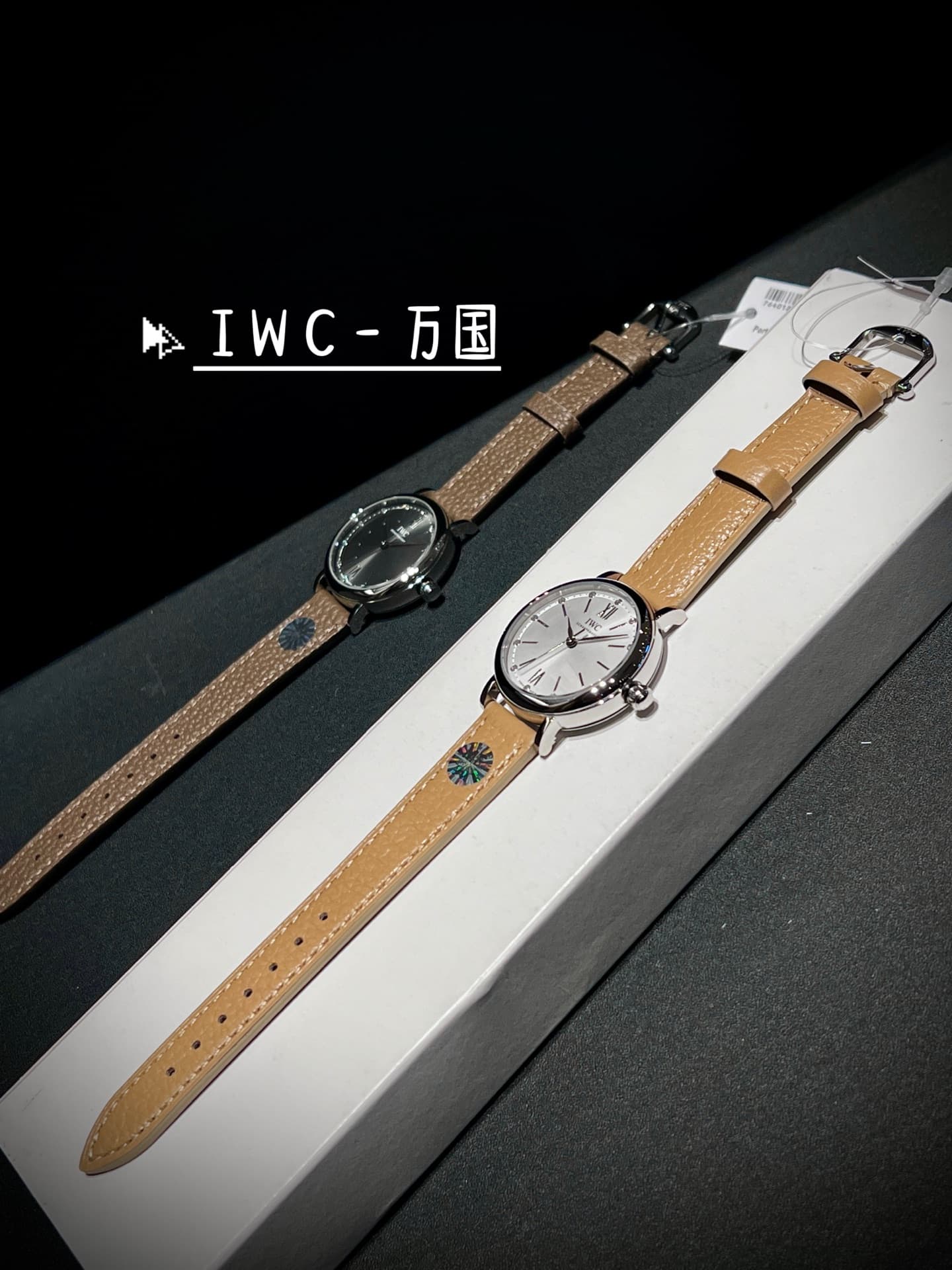 IWC White Watch