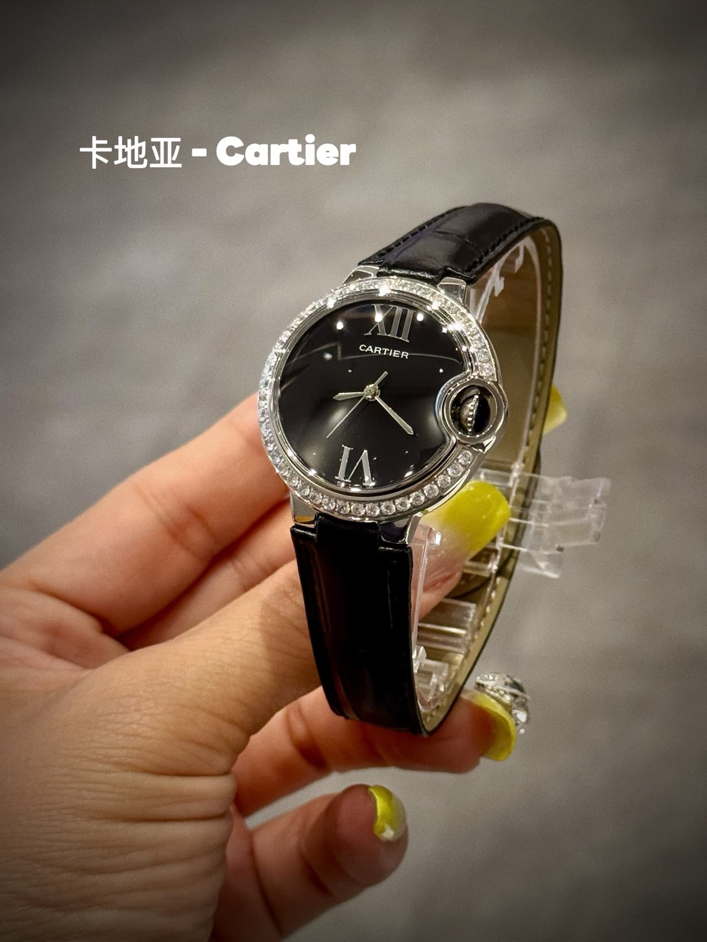 Cartier Blue Belt