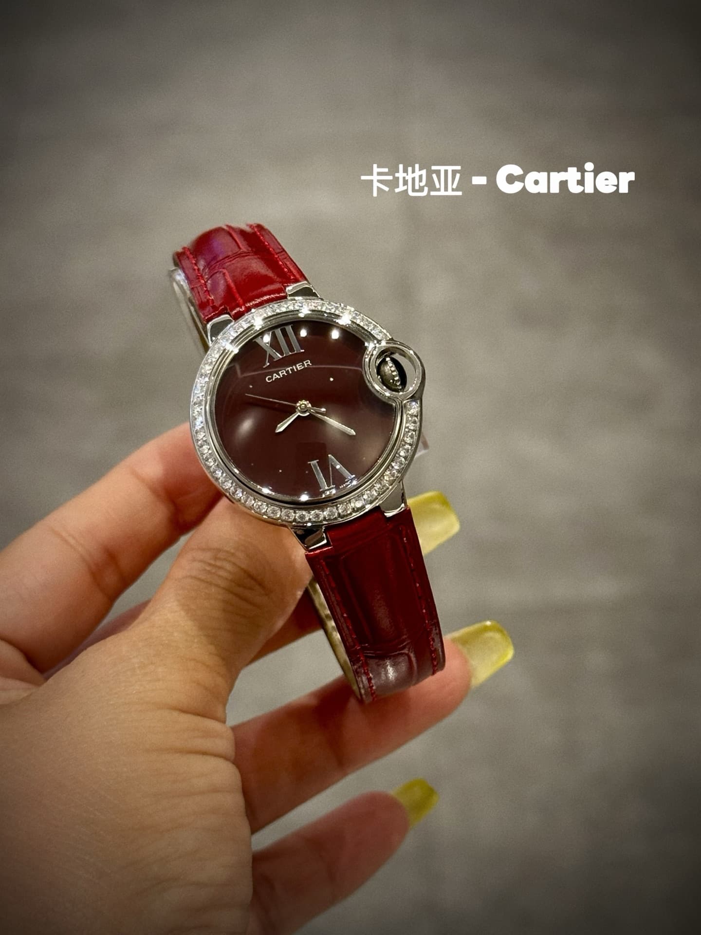 Cartier Blue Belt