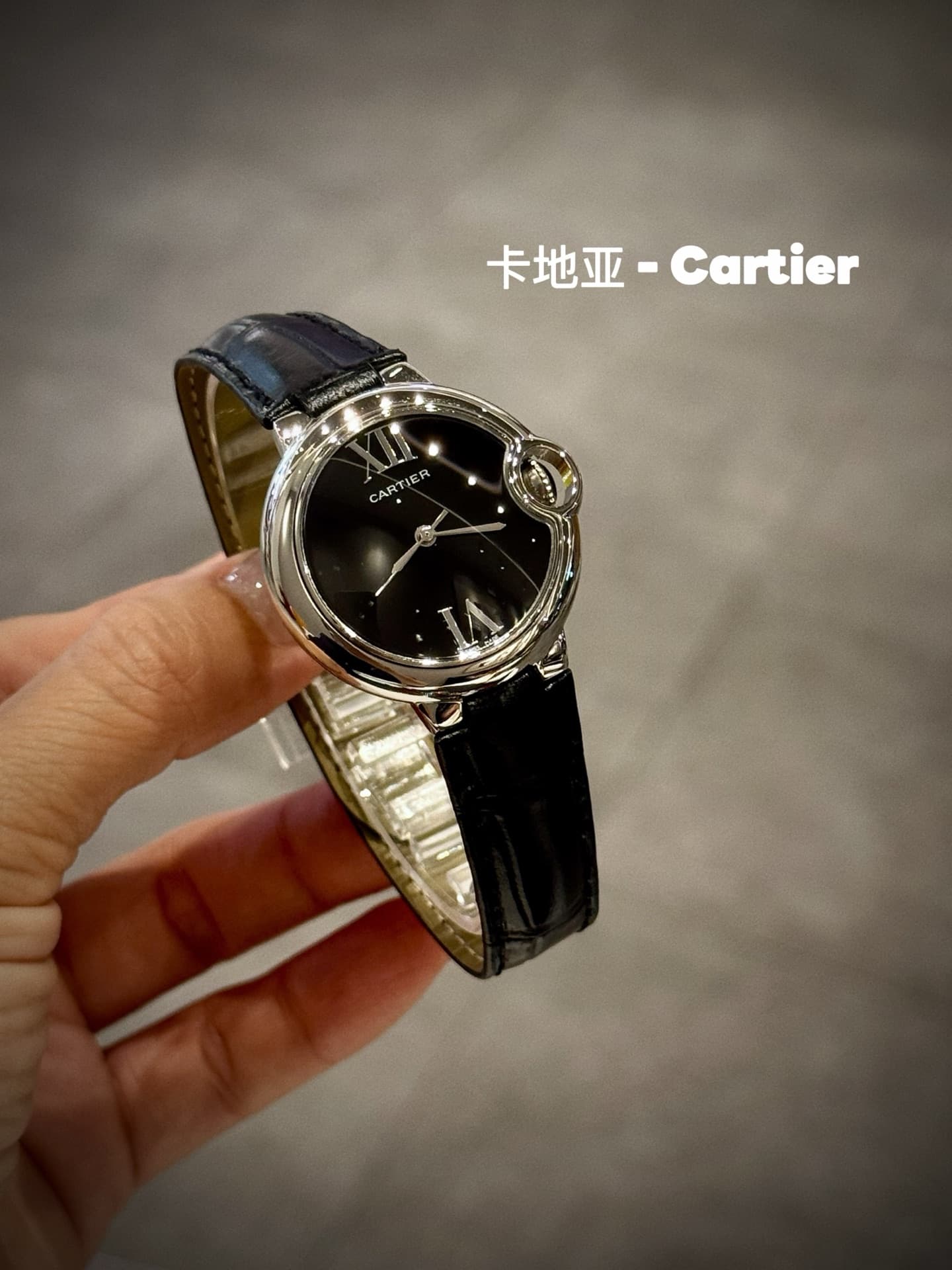 Cartier Blue Belt