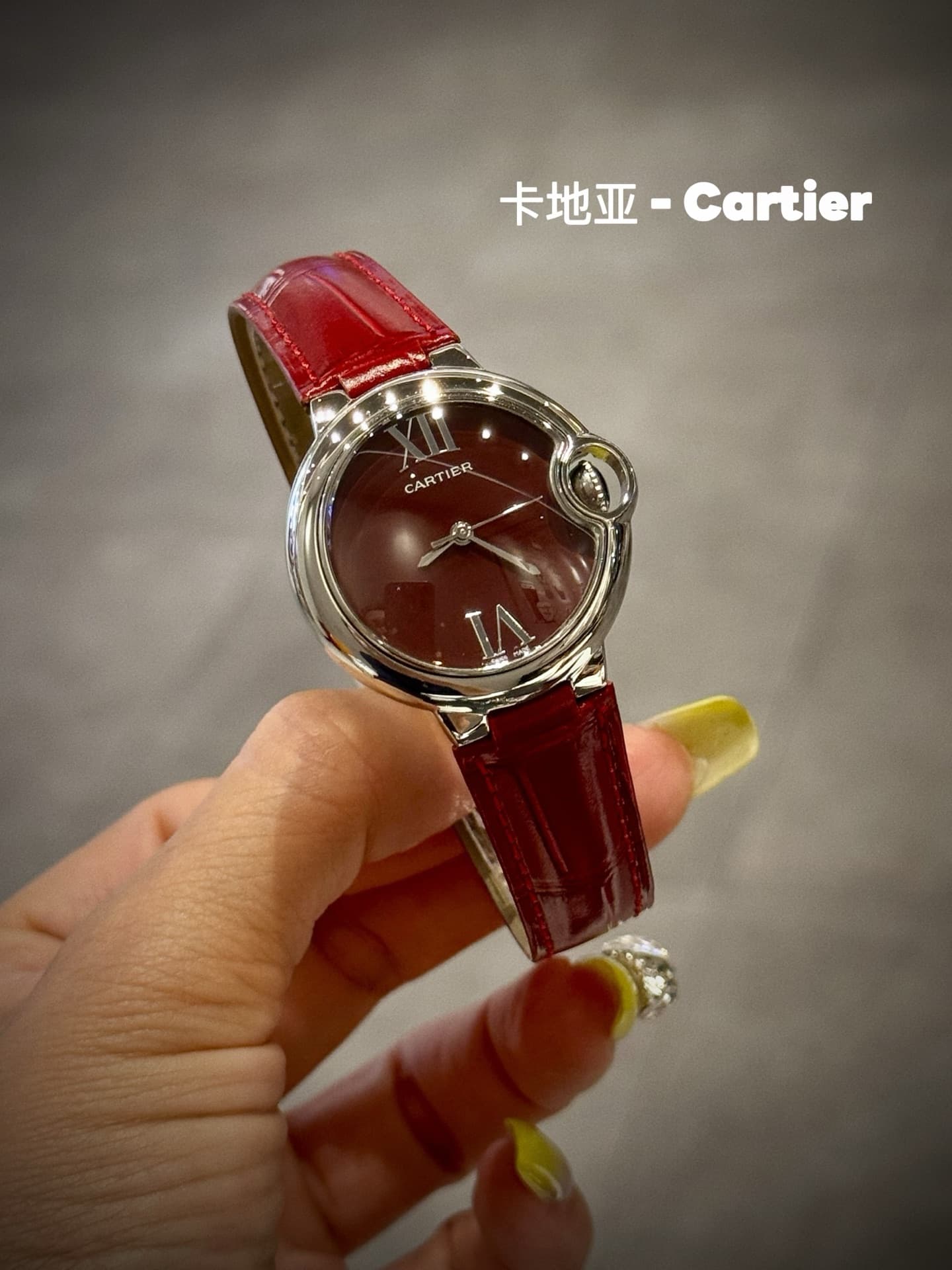 Cartier Blue Belt
