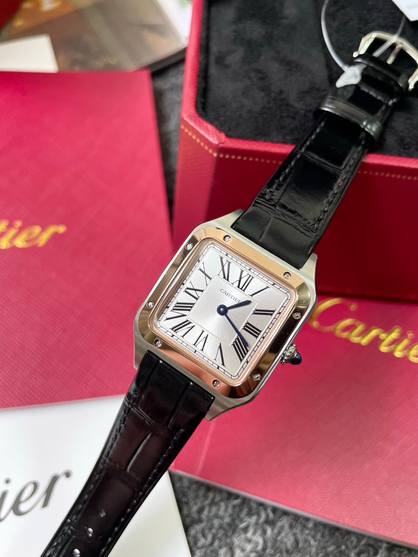 Cartier Watch