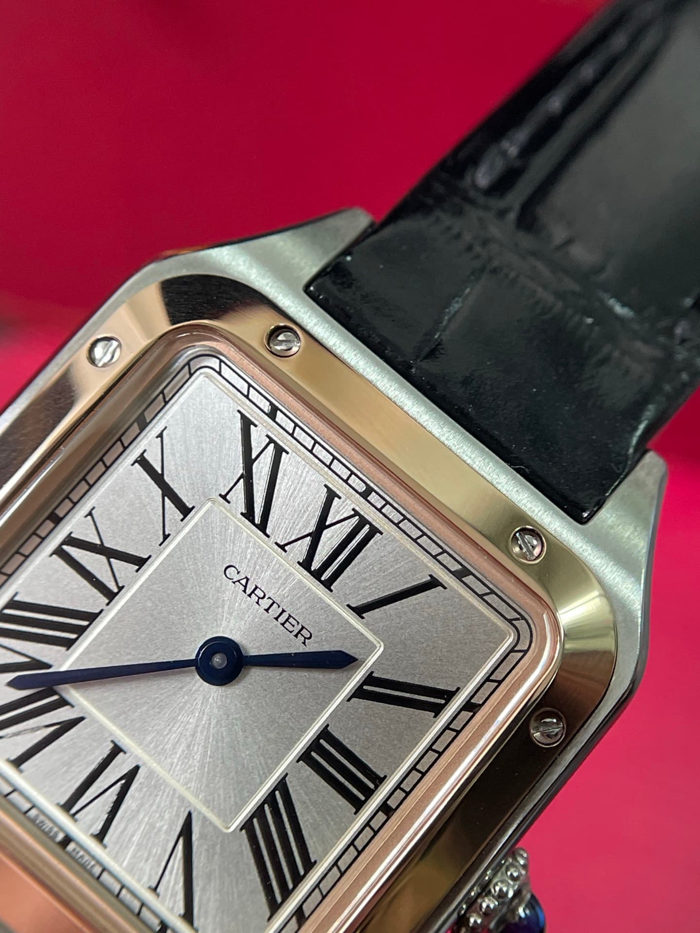Luxury Watch White Watch