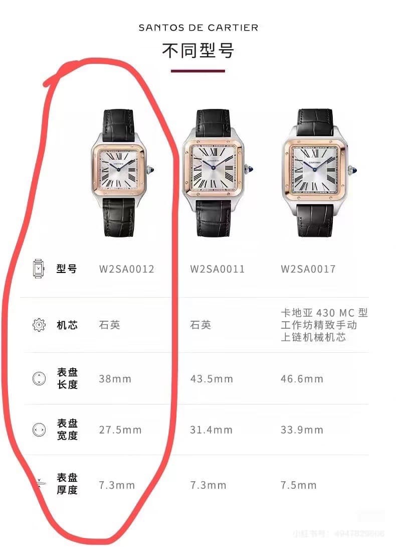 Luxury Watch Watch
