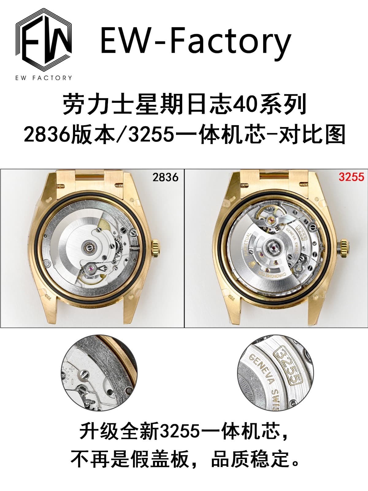 Rolex Watch