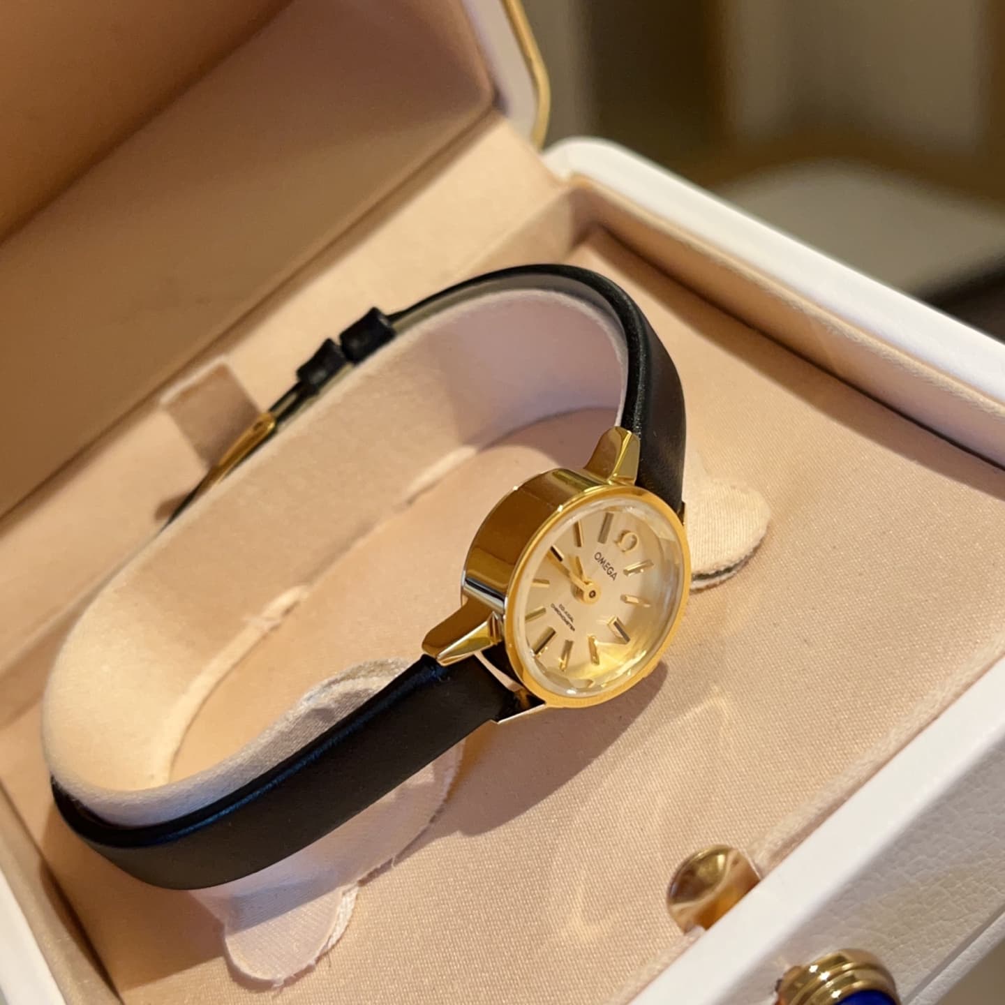Luxury Watch White Mini Watch
