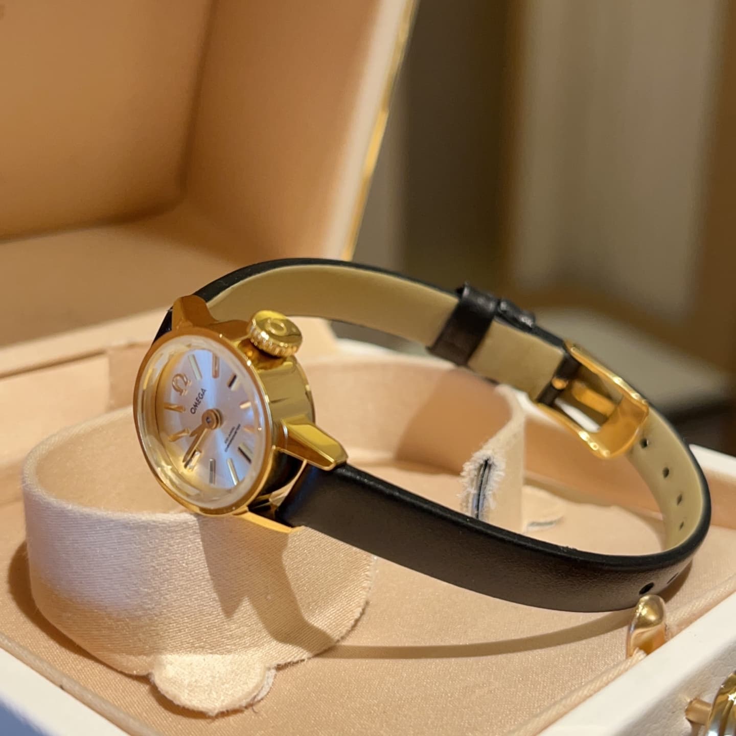 Luxury Watch White Mini Watch