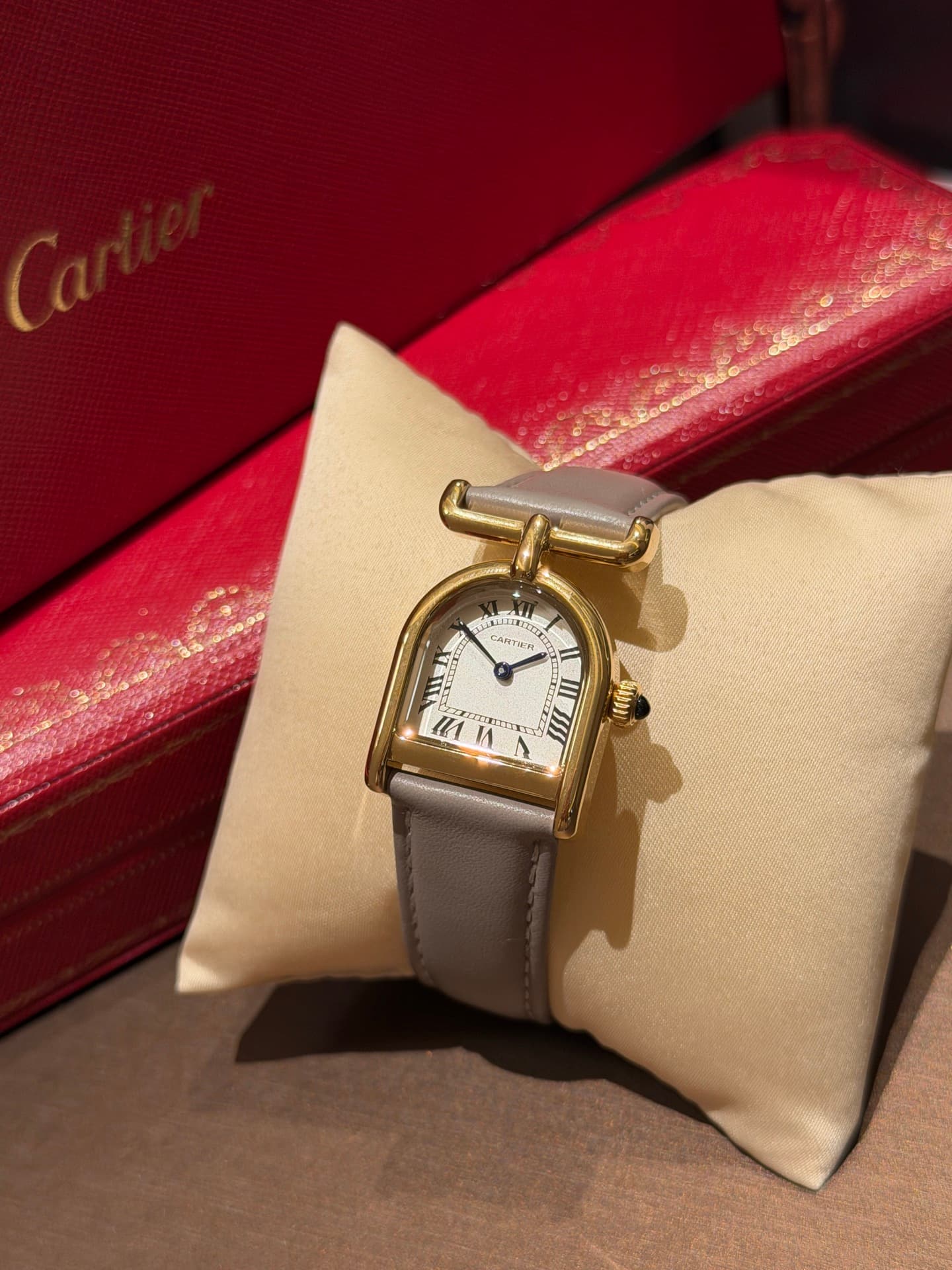 Lacoste Gold Watch catier
