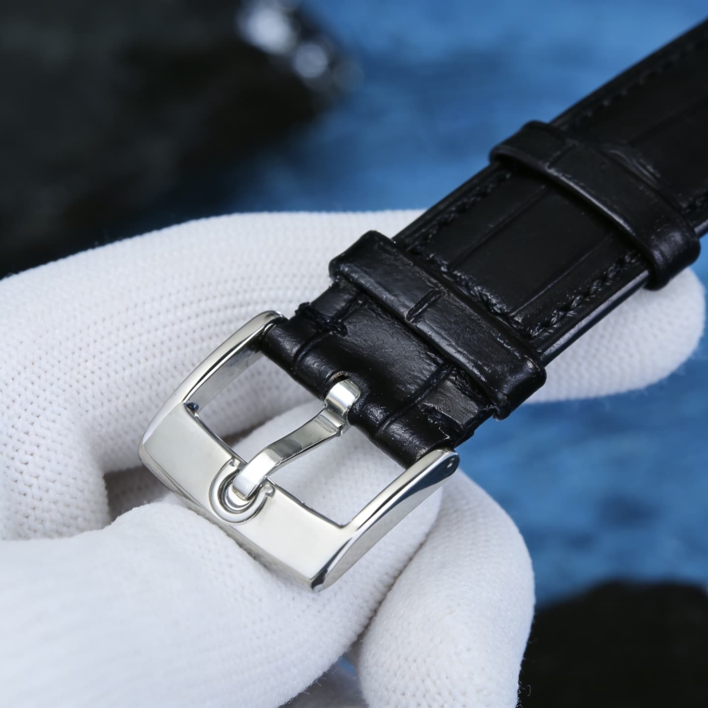 Omega White Belt