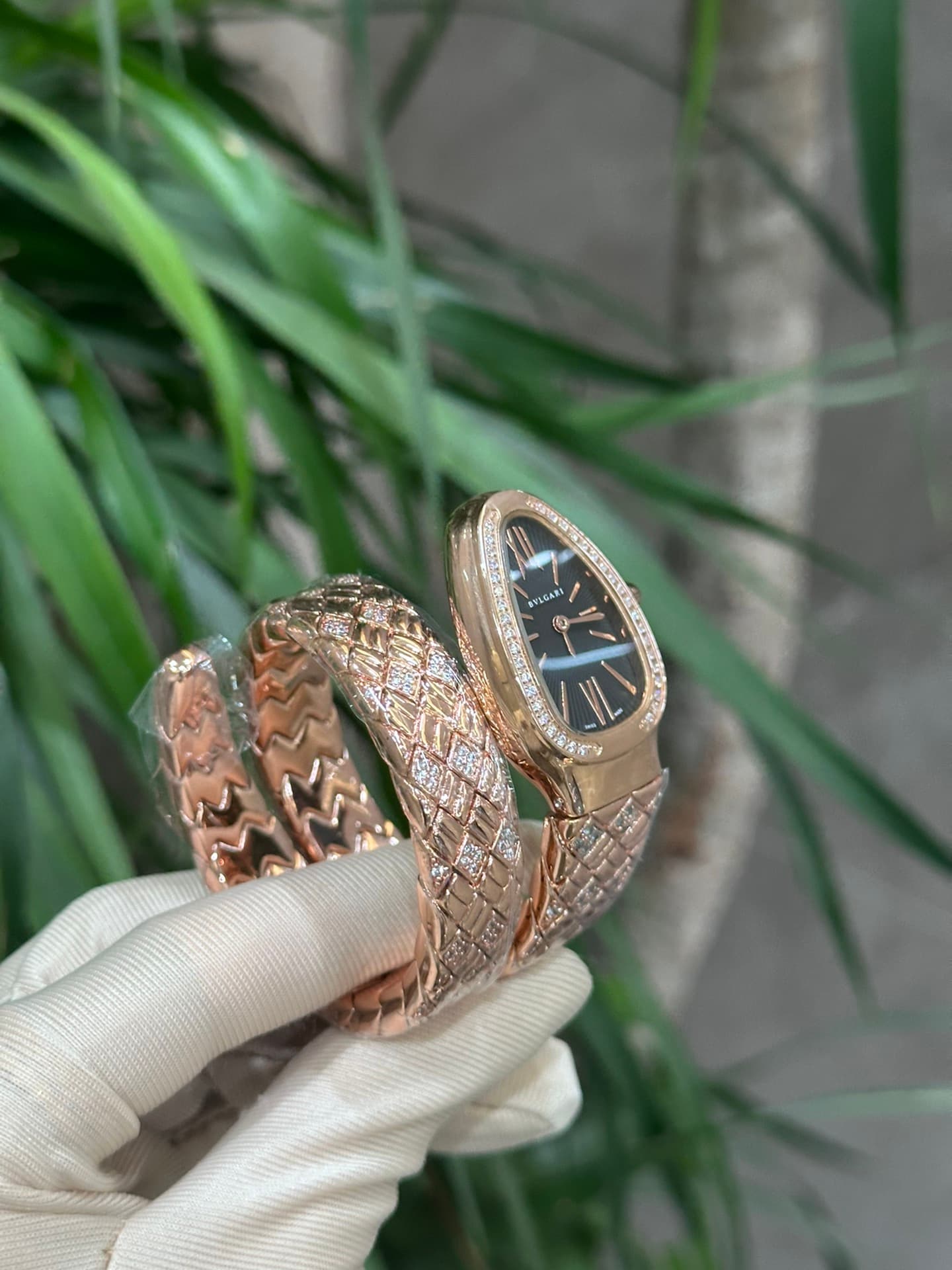 Bottega Veneta Watch