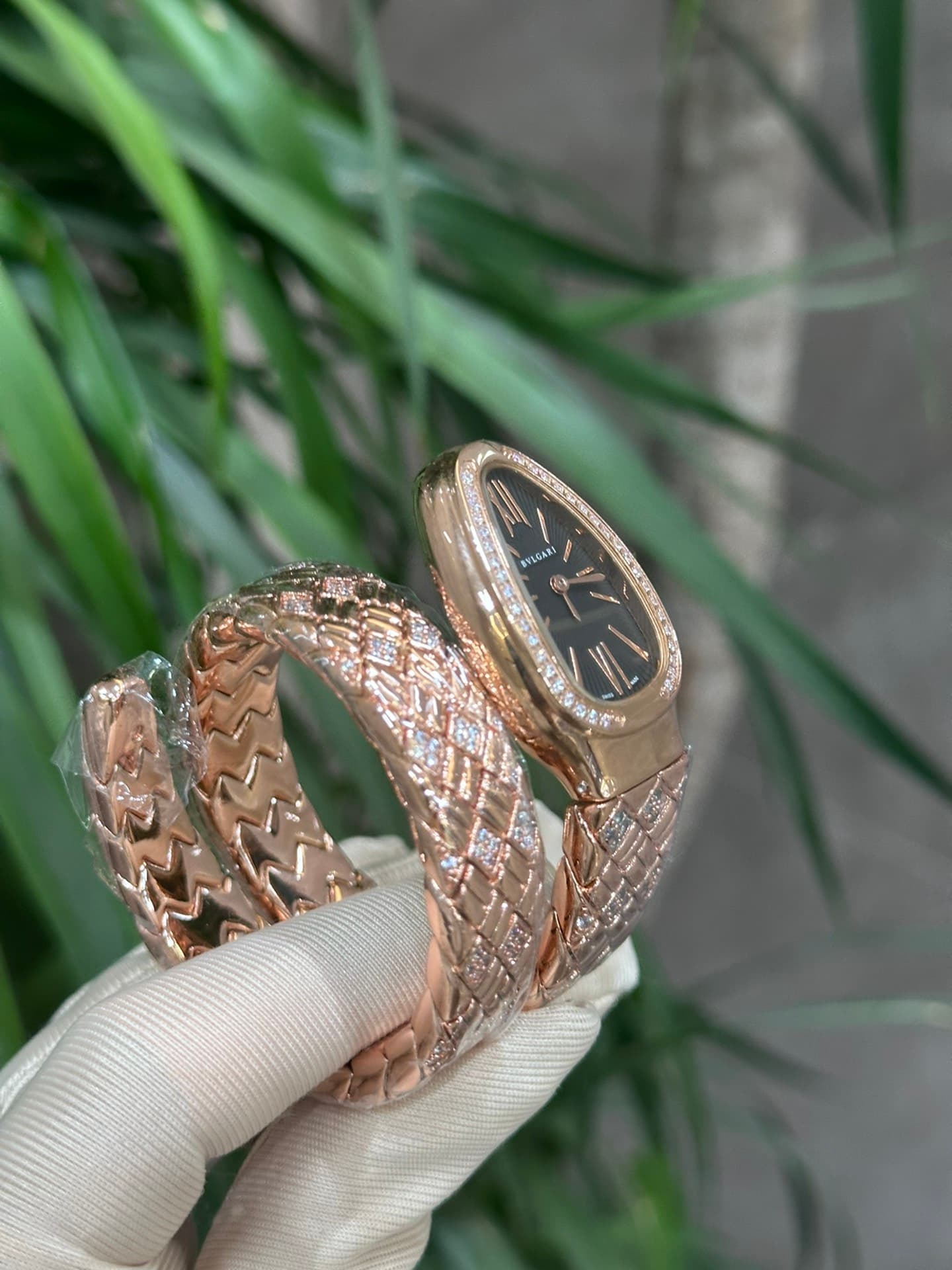 Bottega Veneta Watch