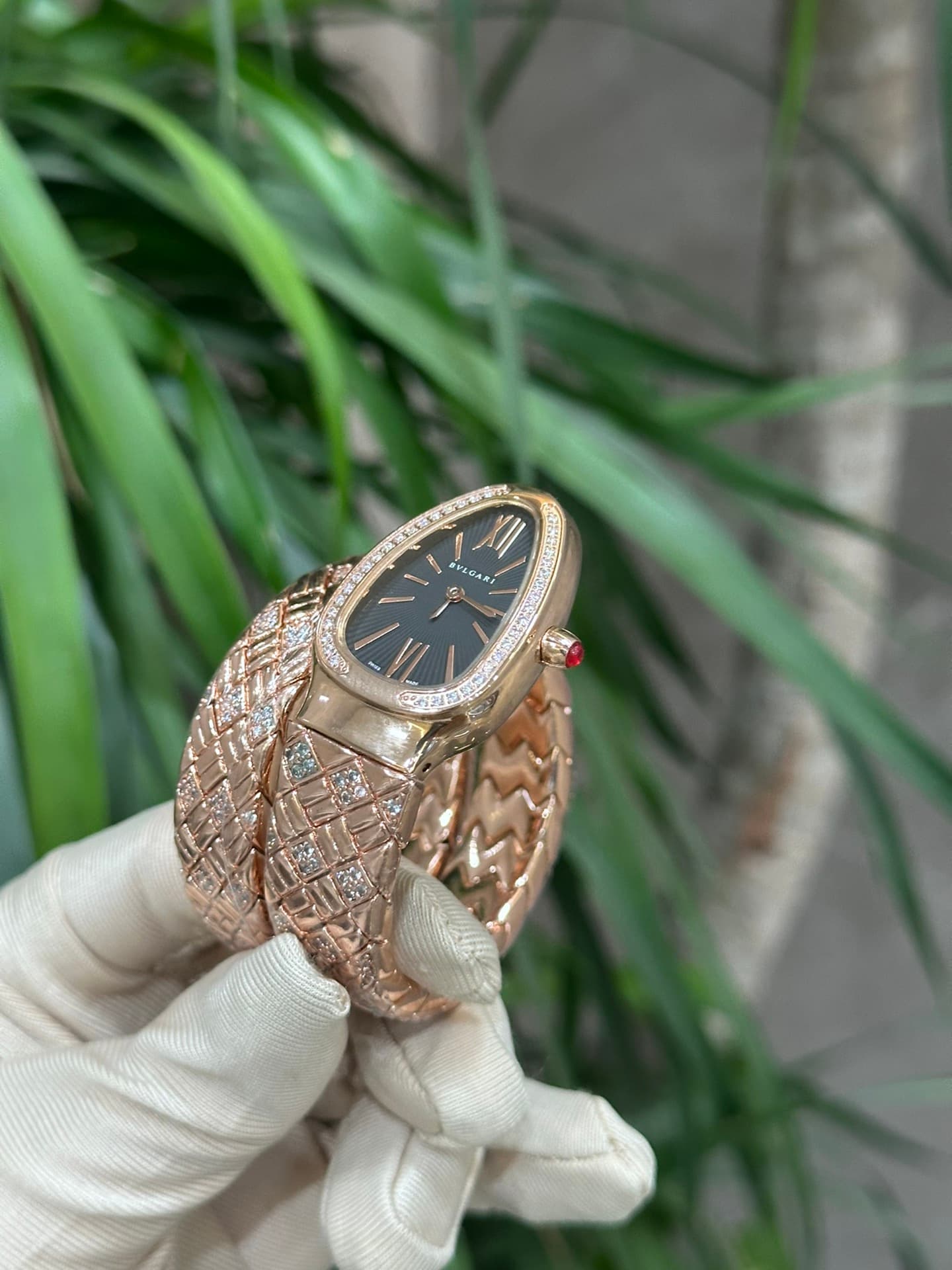 Bottega Veneta Watch