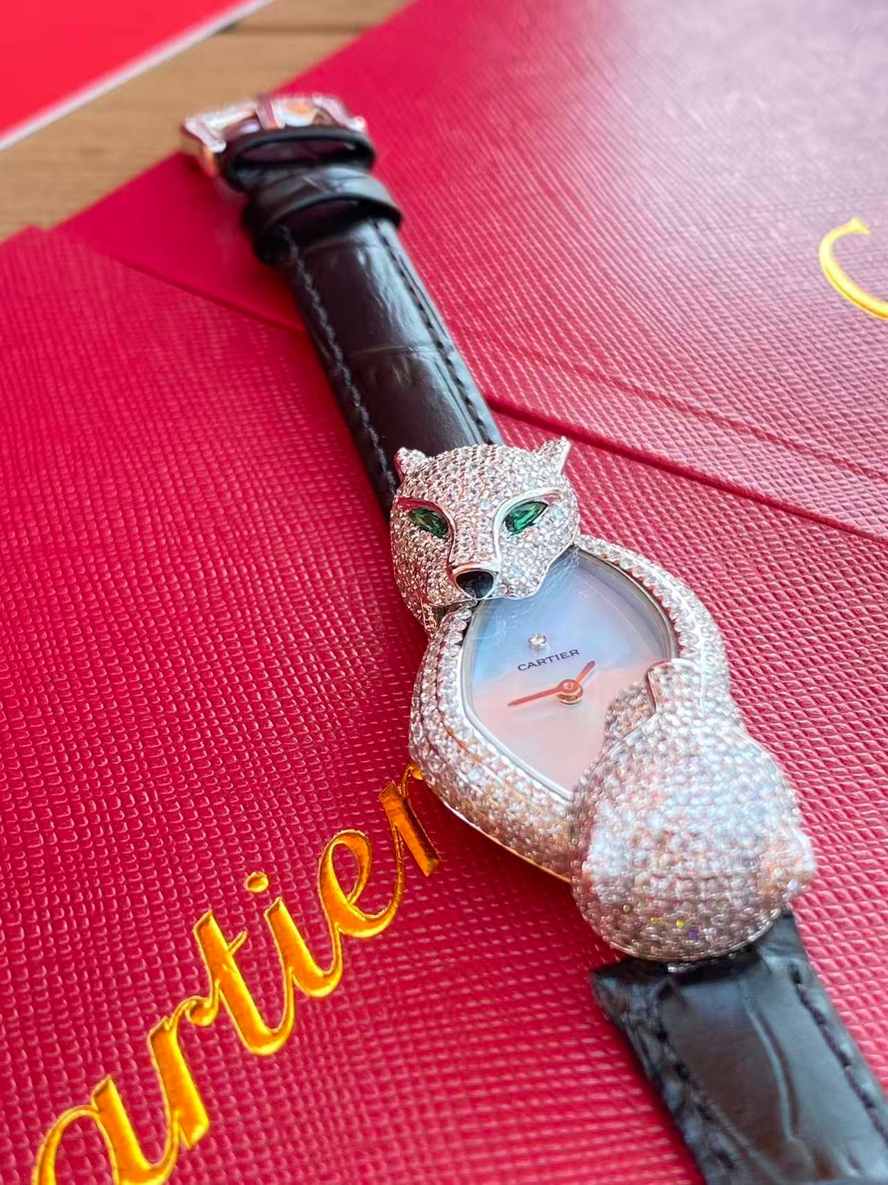 Cartier Watch