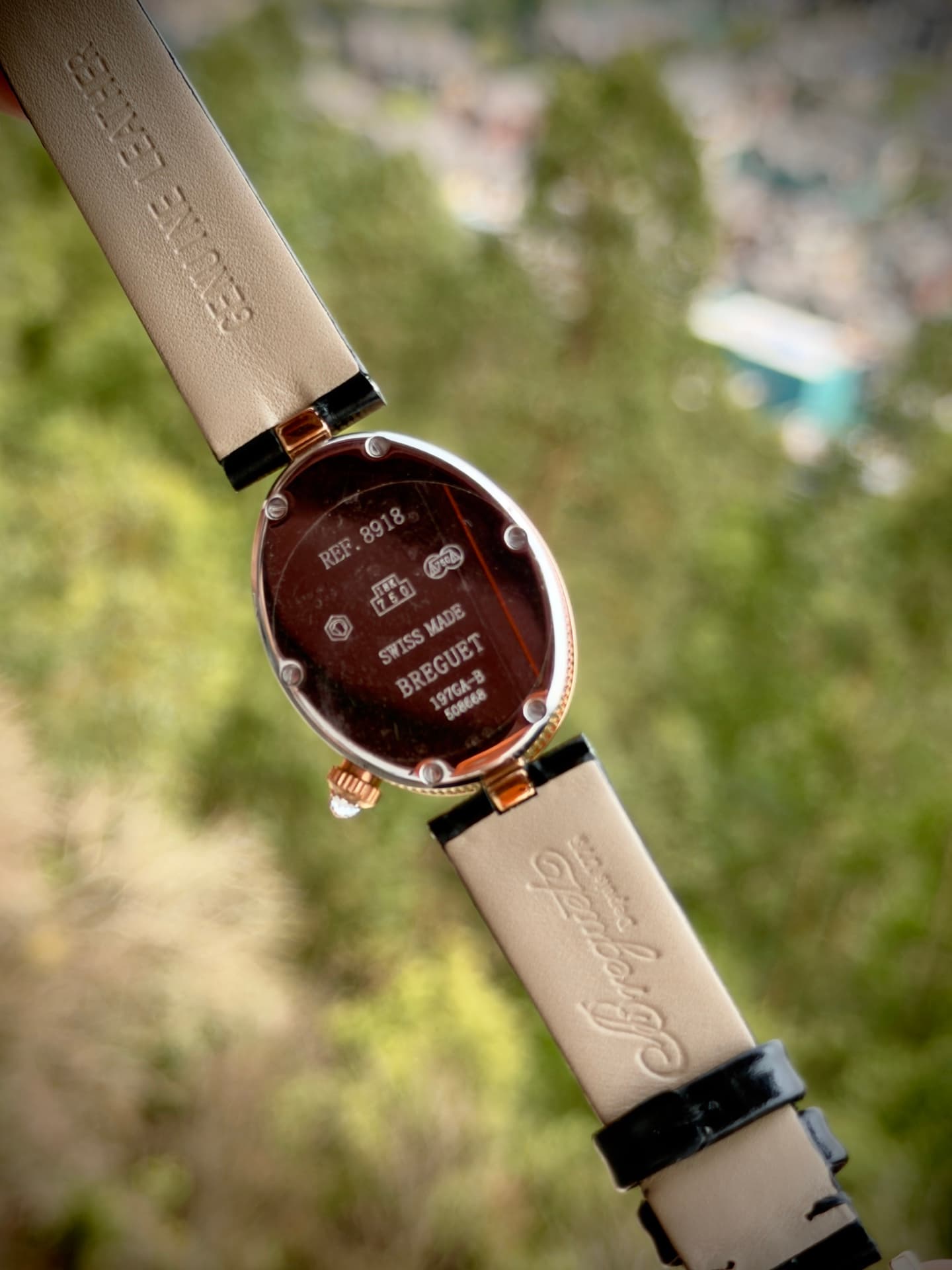 Luxury Watch Watch