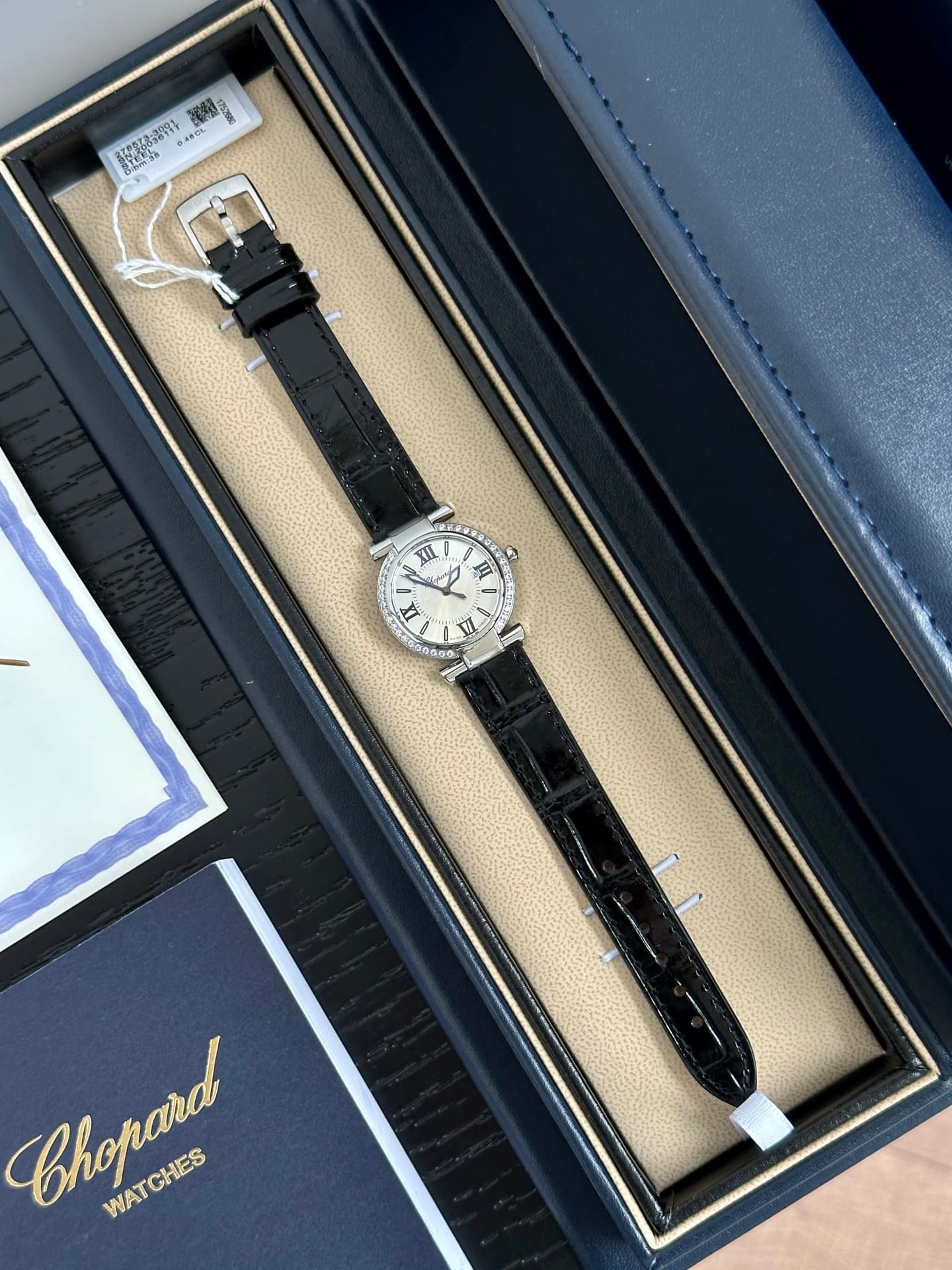Luxury Watch Watch