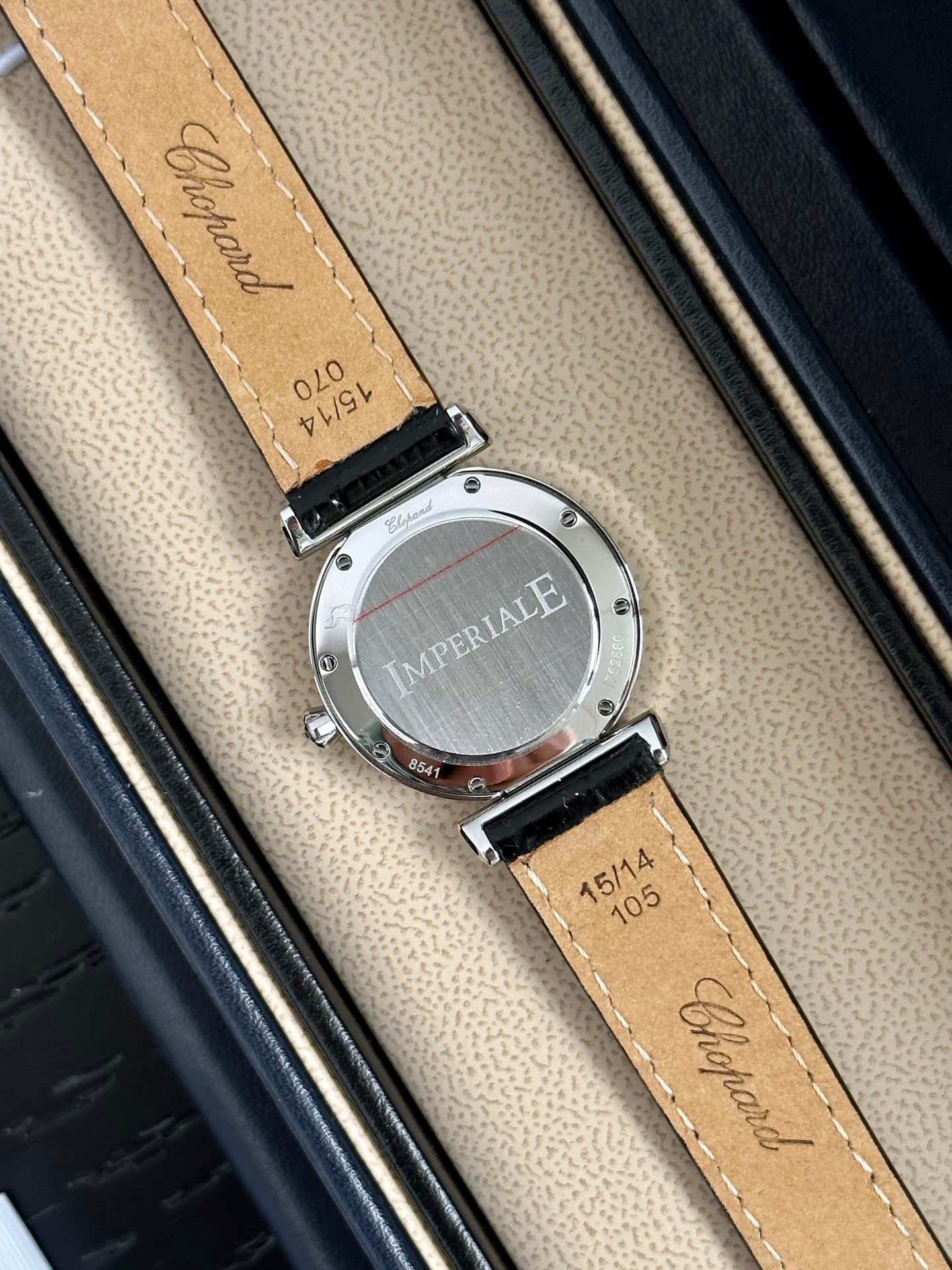 Luxury Watch Watch