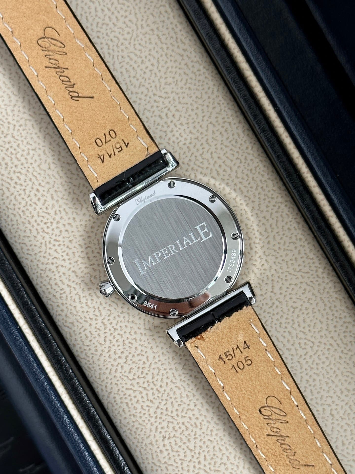 Luxury Watch Watch