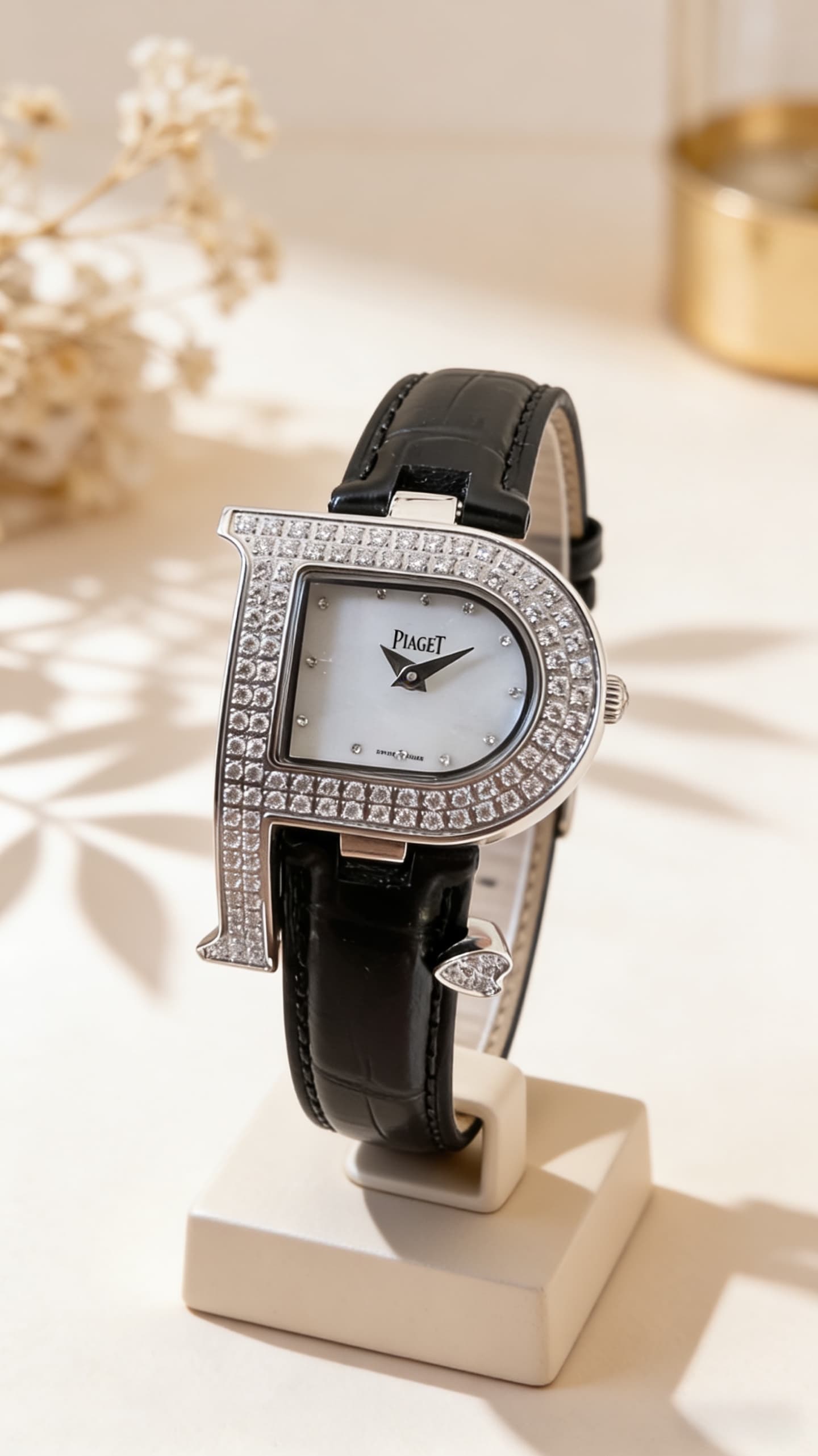 Luxury Watch Bag