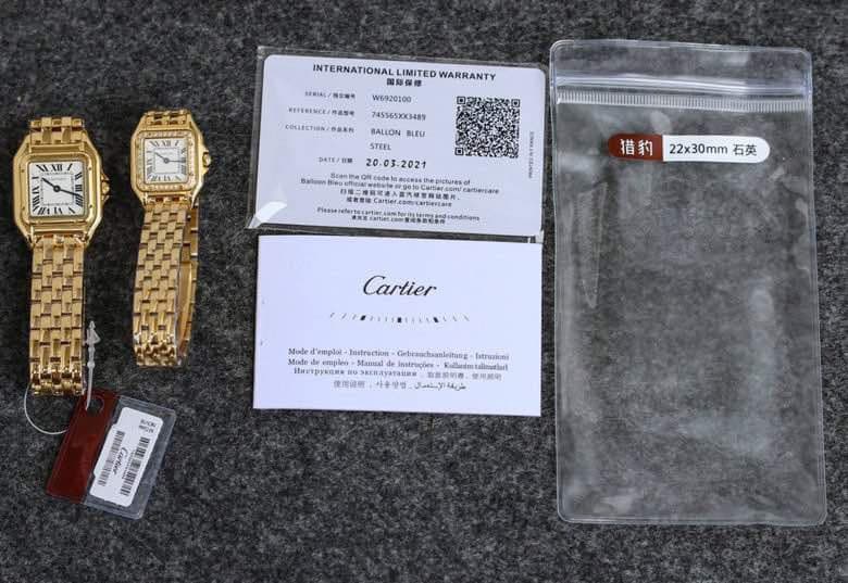 Cartier Blue Small Watch