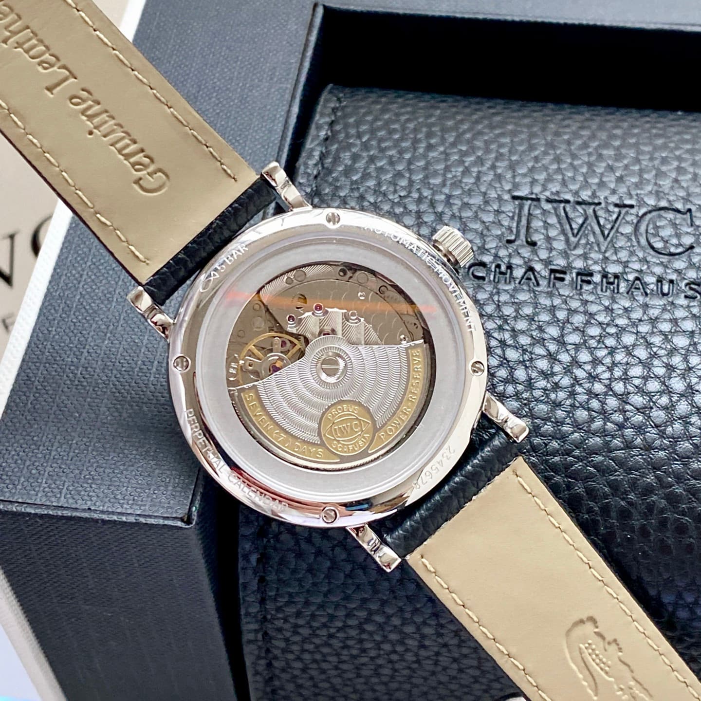 IWC Watch IW359201